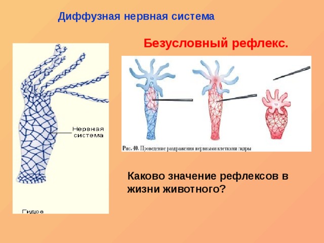 Kraken ссылка зеркало официальный сайт