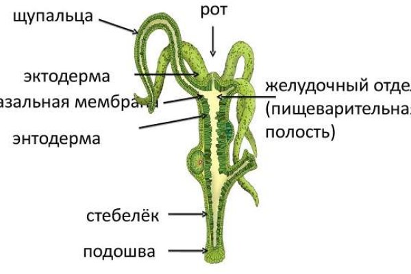 Кракен ссылка замена